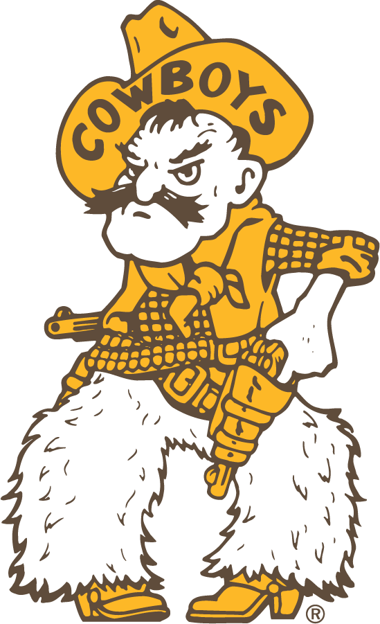 Wyoming Cowboys 1953-2015 Secondary Logo diy iron on heat transfer